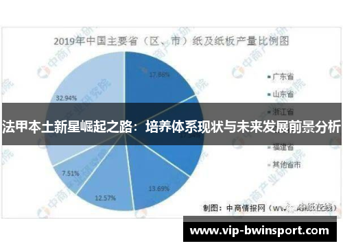 法甲本土新星崛起之路：培养体系现状与未来发展前景分析