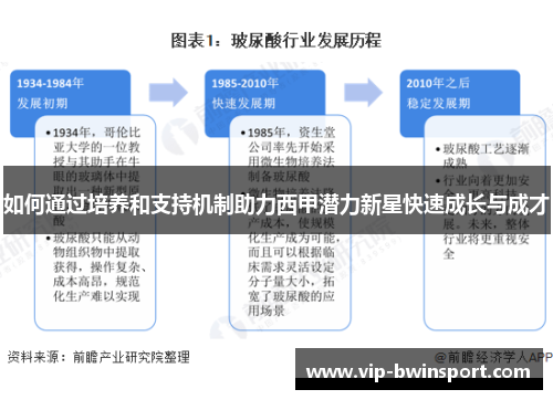 如何通过培养和支持机制助力西甲潜力新星快速成长与成才